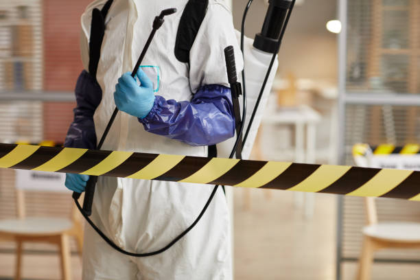 Professional Hoarding Cleanup technician working in Hobart, WI